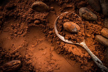 Cacao en polvo